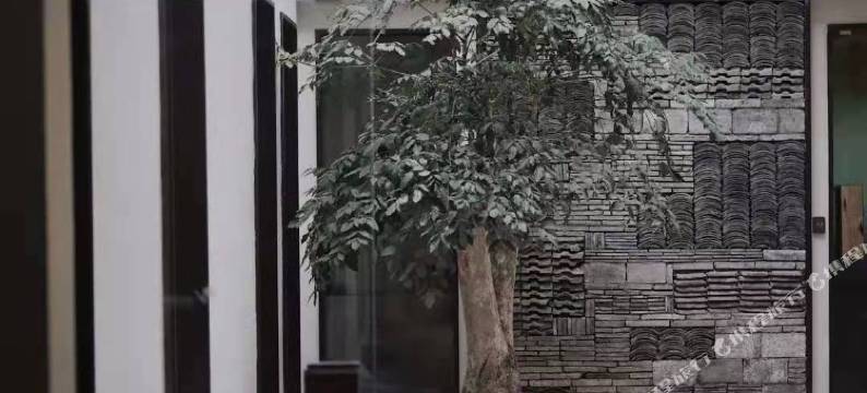 璞筑度假花园民宿(乌镇西栅景区店)图片