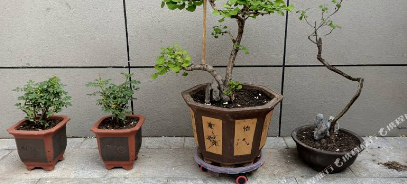 溪岸留苑民宿(开封清明上河园店)图片