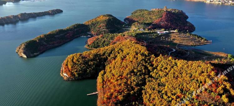 北京勿忘山桃花源民宿图片