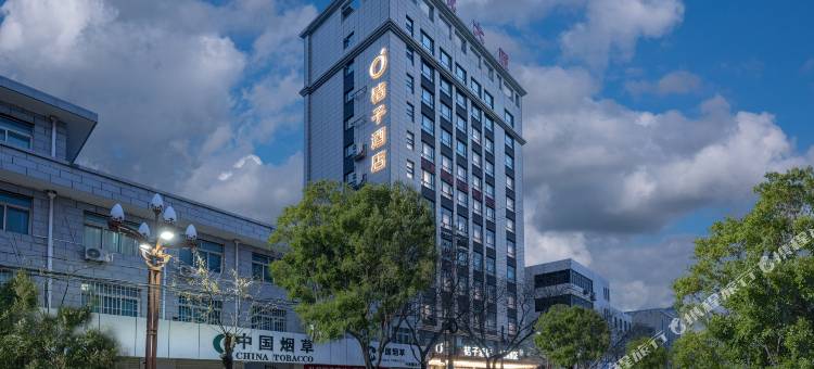 桔子酒店(甘谷金成大厦店)图片