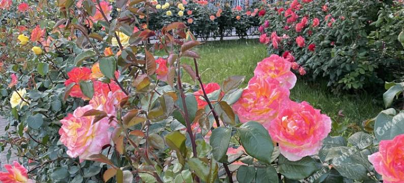 北京嘻鸣小栈民宿图片