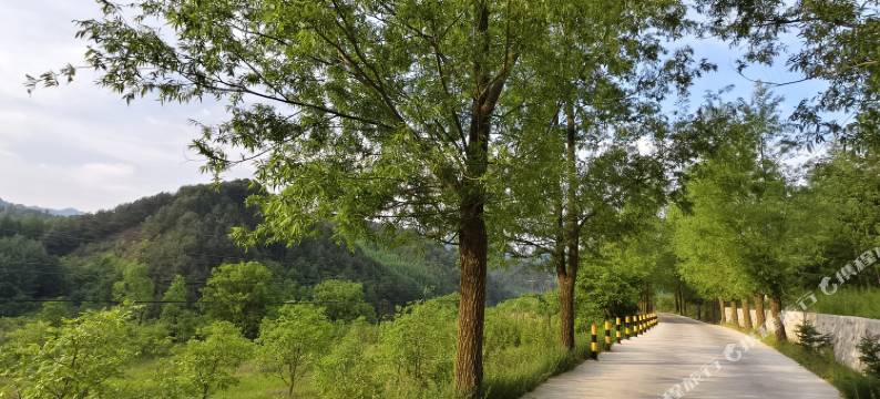 麦积山逸居民宿图片