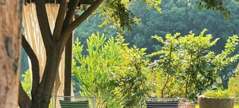 英德·野渡宿集·野渡谷民宿图片