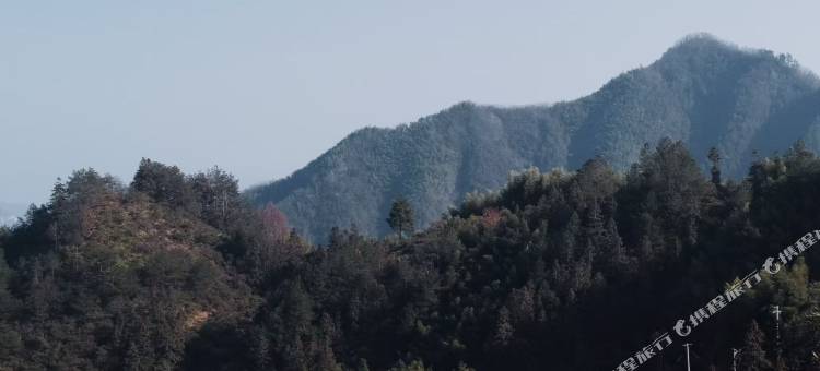 星空呈阳露营基地图片