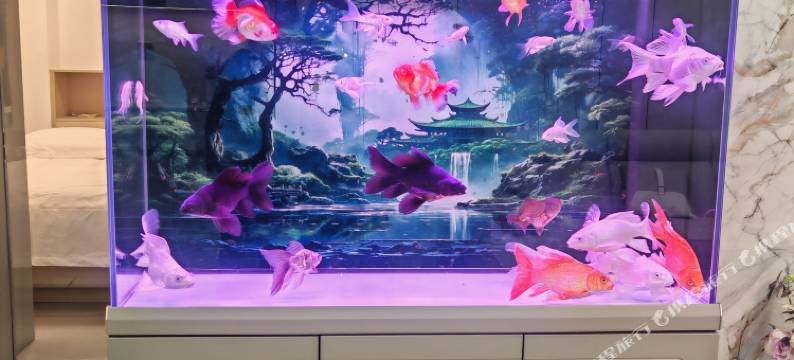 岷县春山别院民宿图片