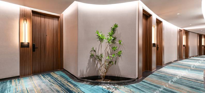 色彩和光酒店(北京国贸CBD店)图片