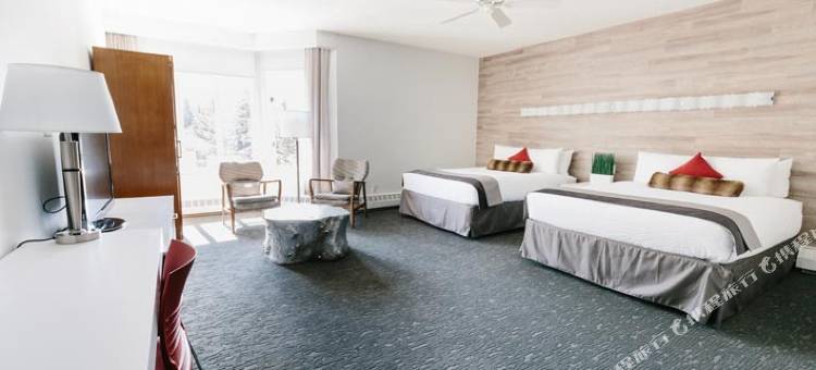 麋鹿+大道酒店(Elk + Avenue Hotel)图片