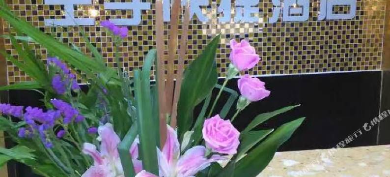 元谋王子快捷酒店图片