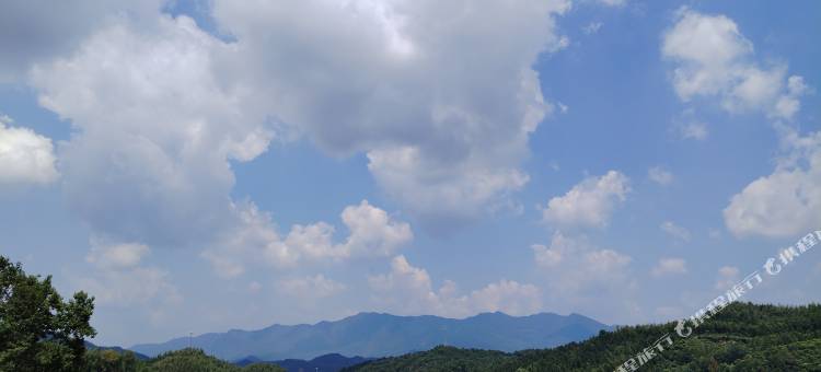 龙山村龙阳山庄图片