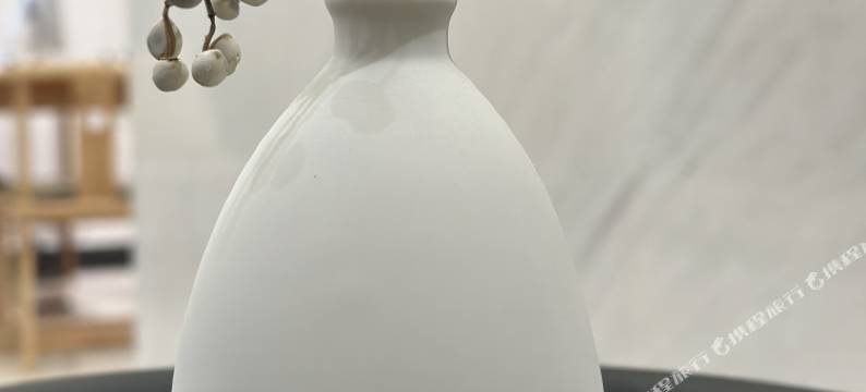 悠阳民宿酒店(阳朔西街店)图片