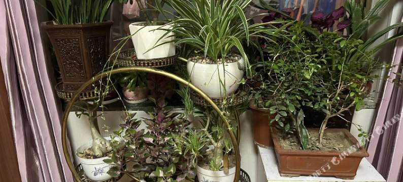 行唐客家365宾馆图片