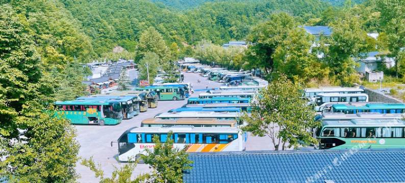 老君山青桔小院民宿(云景索道店)图片