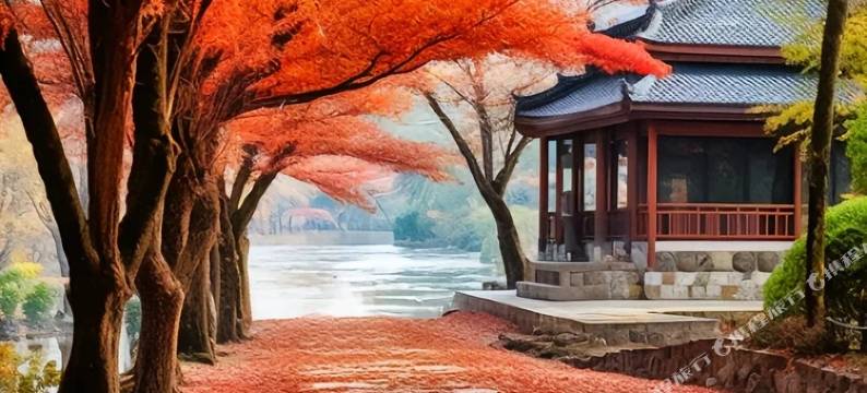 南雄安逸宾馆图片