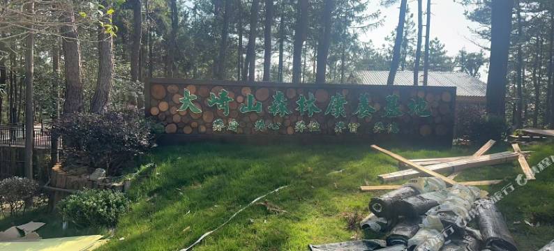 大崎山森林康养基地图片