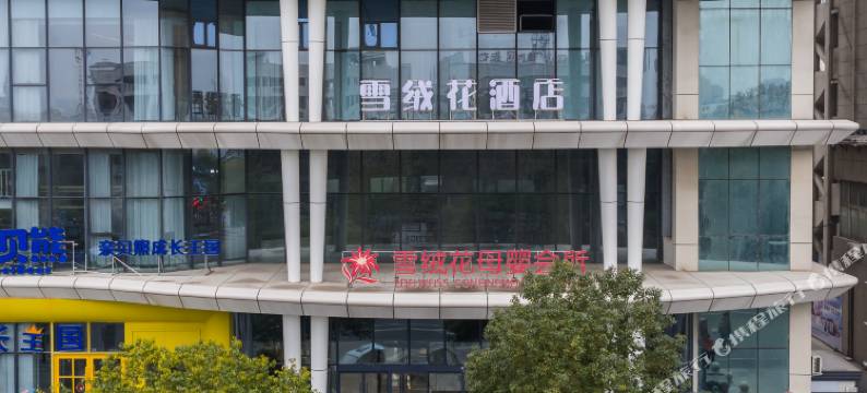 雪绒花酒店(驻马店站第二中医院店)图片