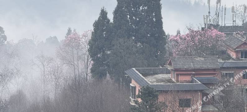 己舍云泊.4D音乐民宿(北川药王谷景区店)图片