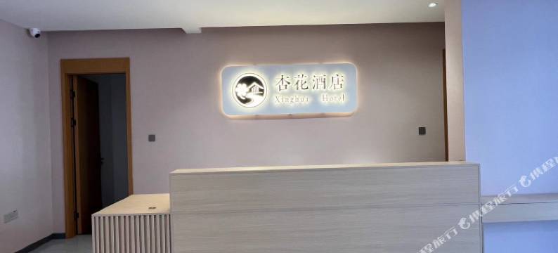 杏花酒店图片