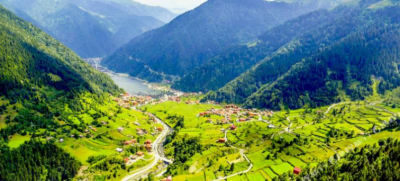 乌尊格尔金色酒店(Golden Inn Hotel Uzungöl)图片