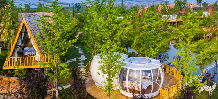 南通森迪部落树屋图片