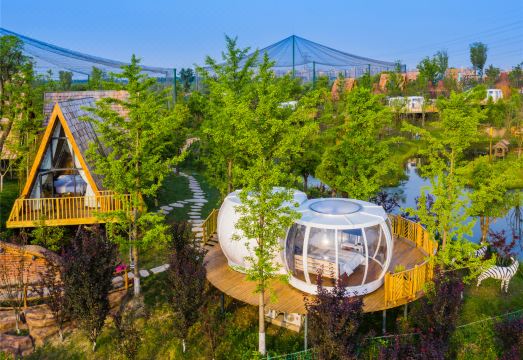 Nantong Sendi Tribe Treehouse Hotel Overview