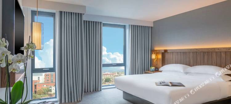 都柏林自由区凯悦尚萃酒店(Hyatt Centric the Liberties Dublin)图片