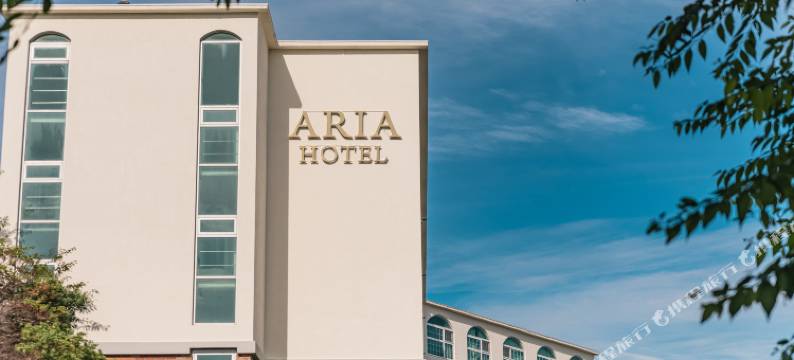 济州阿里亚酒店(Aria Hotel)图片