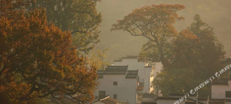 婺源石城枫红酒家图片