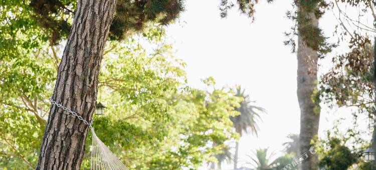 圣巴巴拉瑰丽酒店(Rosewood Miramar Beach)图片