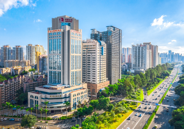 Vienna International Hotel (Shenzhen Futianqu Jingtian)Hotel Overview