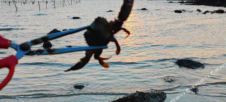 湛江硇洲花屿民宿图片