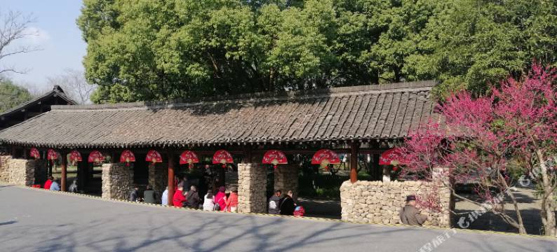 杭州象牙客青年旅舍图片