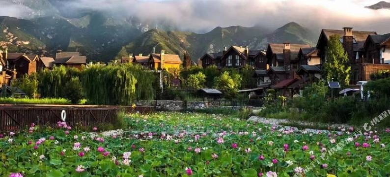 叁叁谷雨酒店(奥伦达原乡美利坚店)图片