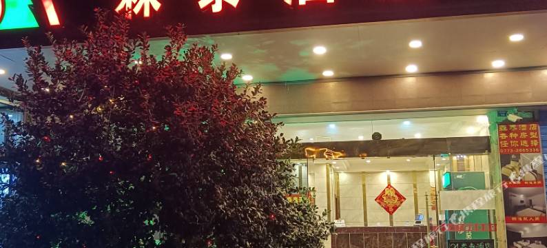 森泰酒店(桂林火车北站店)图片