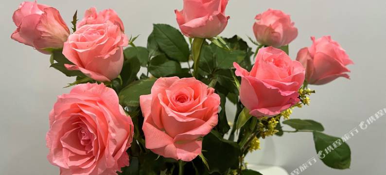 杭州阅墅民宿(西湖风景名胜区店)图片