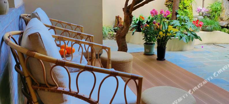 大理古城柿子树小院图片