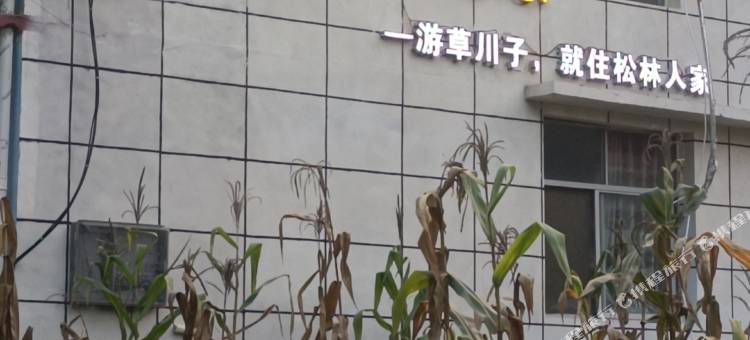 草川子松林人家民宿图片