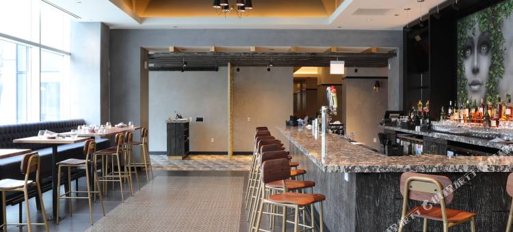 芝加哥艾塞克斯艾美酒店(Le Meridien Essex Chicago)图片