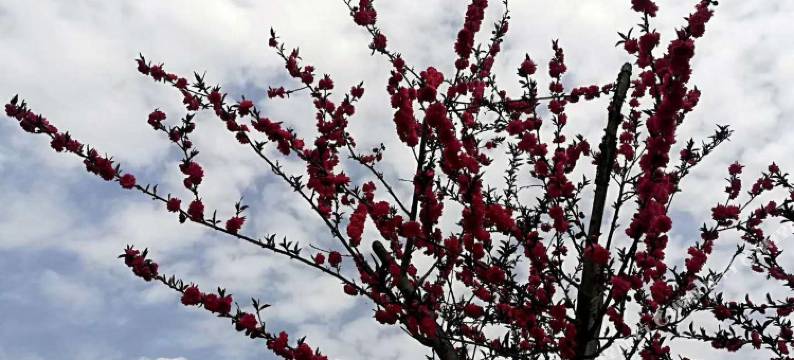 紫阳木鱼包民宿图片