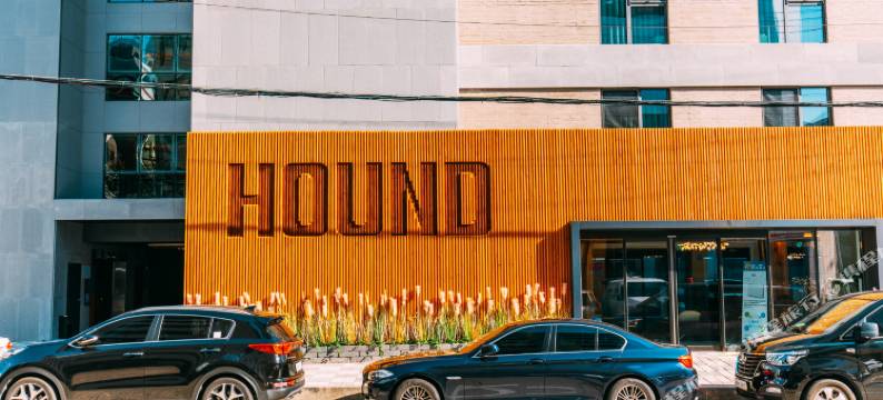 釜山站猎犬酒店(Hound Hotel Busan Station)图片