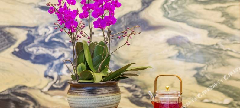 天津滨海新区瑞达春天精品酒店(滨海高铁站店)图片