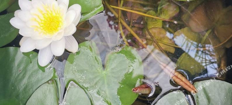 张家界听雨堂民宿图片