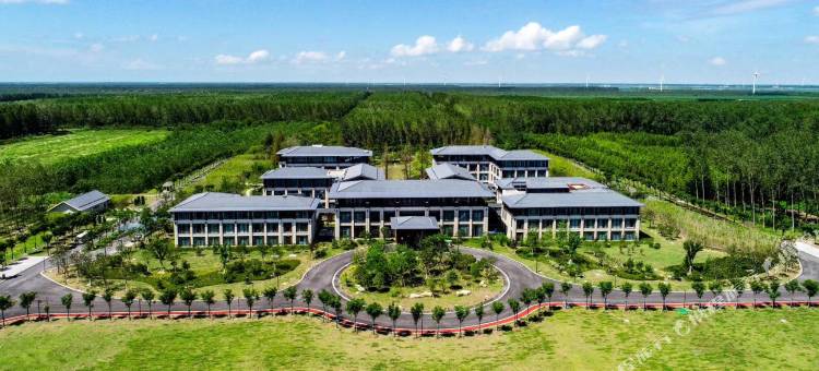 东台黄海森林酒店图片