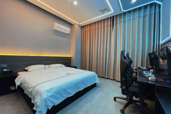 钟祥闪电蚁电竞酒店