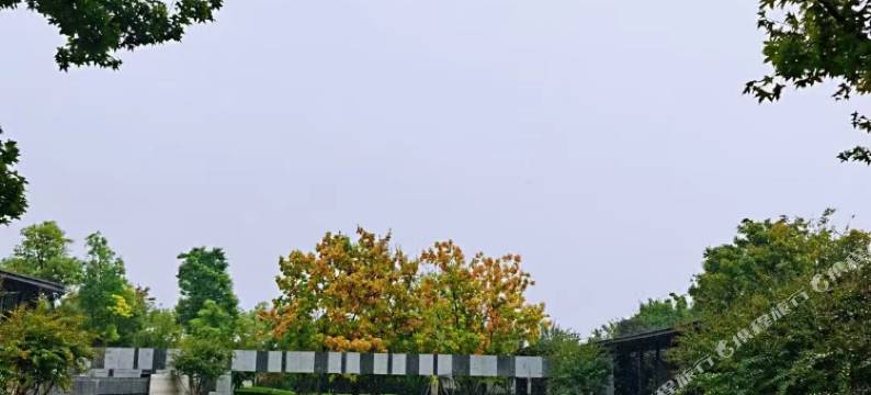 东篱酒店(新郑市正商智慧城店)图片