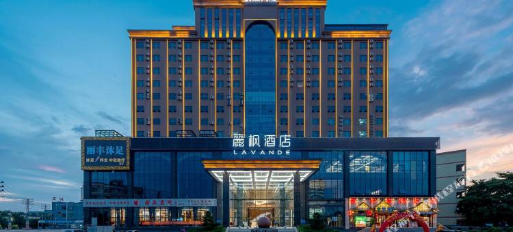 麗枫酒店(东莞石排生态园店)图片