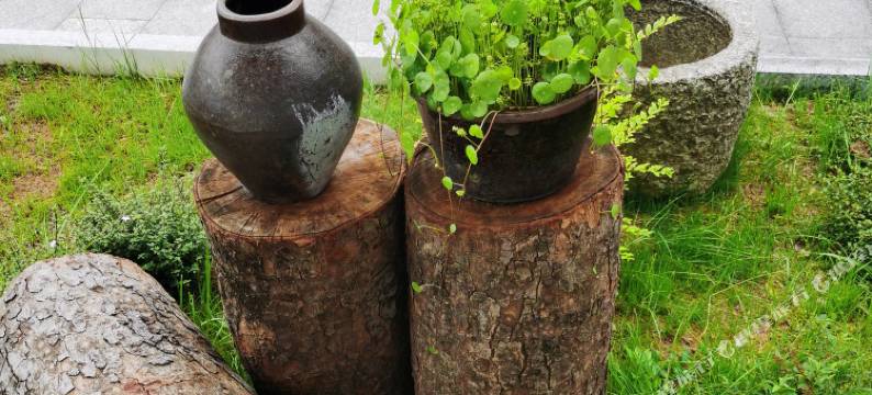 奉新听溪小院(大源仰山国家乡村公园店)图片