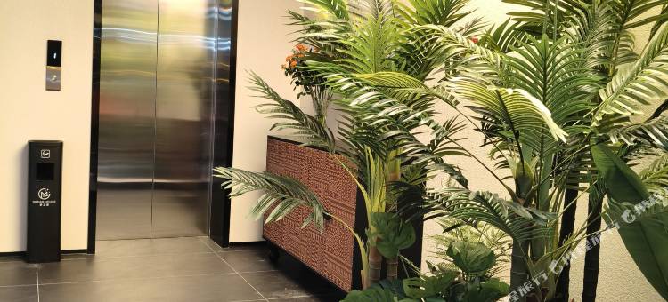 梦之家智能酒店(武当山景区售票处店)图片