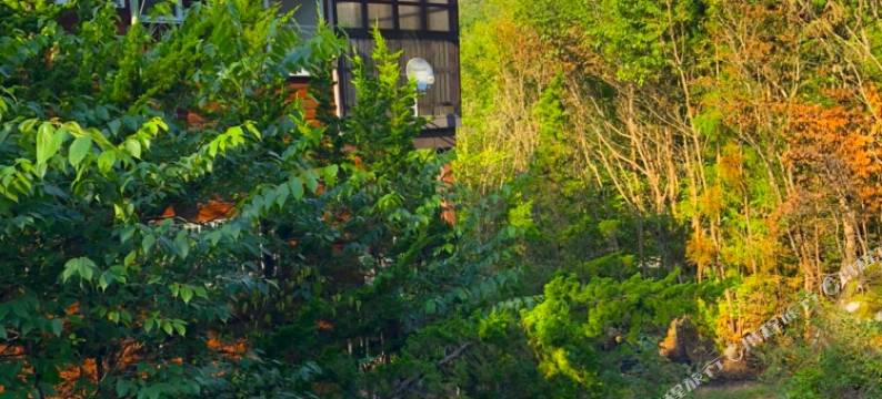 高级别墅-泉(El mas alto VILLA IZUMI)图片