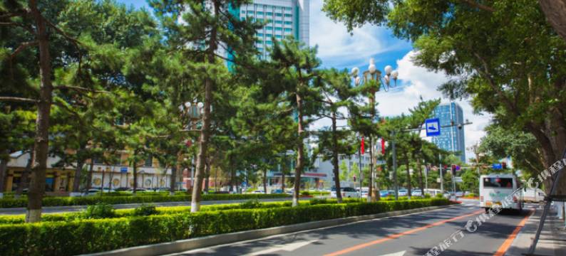 长春桐林宾馆(桂林路动植物公园店)图片