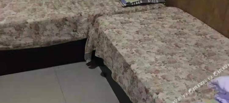 庆安金缘旅店图片